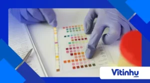 Conceito de pH: O Que é e Como Ele Afeta a Nossa Vida?