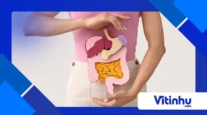A Ciência da Digestão: O Que Acontece com os Alimentos no Nosso Corpo?