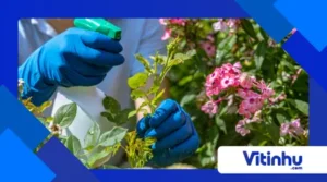 Química no Jardim: Como Fertilizantes Funcionam?