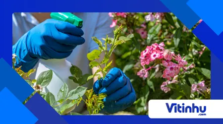 Química no Jardim: Como Fertilizantes Funcionam?