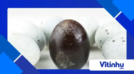 A Ciência por Trás do Ovo Centenário: Como a Hidrólise Alcalina Transforma Clara e Gema