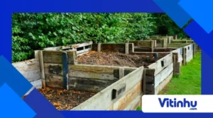 A química da compostagem: decompor também é transformar