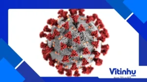 Álcool 70% ou 92%? Qual realmente funciona melhor contra vírus e por quê?”