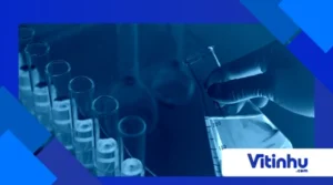 Biodegradação em laboratório: como acelerar a natureza com enzimas
