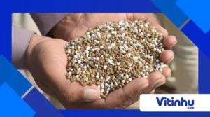 Bioplásticos que viram adubo: compostos químicos a favor do solo