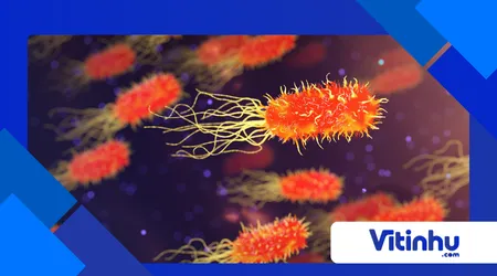 Como bactérias usam química para quebrar o plástico?