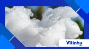 Espuma do Elefante: como a decomposição do peróxido forma uma avalanche de bolhas