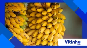 Você sabia que a banana pode brilhar no escuro com produtos químicos?
