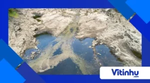 Como a espuma dos rios se forma quimicamente?