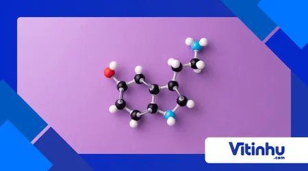Como a química influencia nosso humor? O papel da serotonina