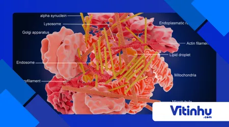 Cozinha molecular: o que é e como aplicar reações químicas em pratos comuns