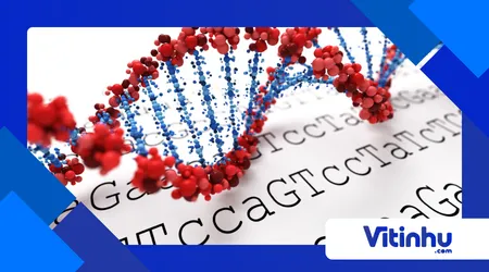 Modelo de DNA com jujubas: experimento educativo e comestível