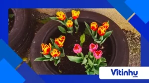 Upcycling químico: transformar lixo em novos materiais