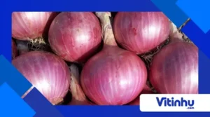 Cebola gelada